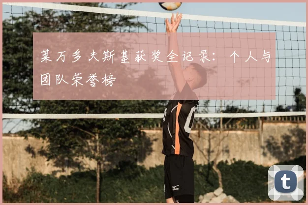 莱万多夫斯基获奖全记录：个人与团队荣誉榜
